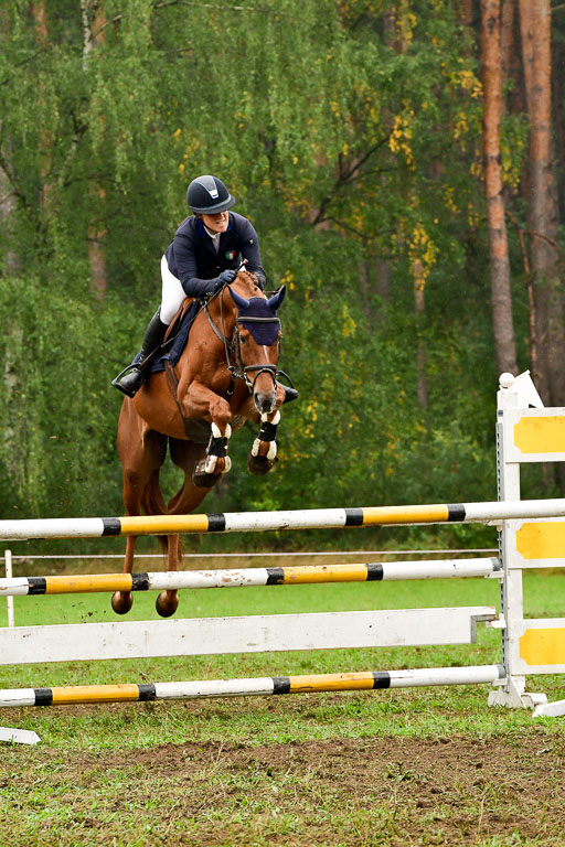 Springen CCI