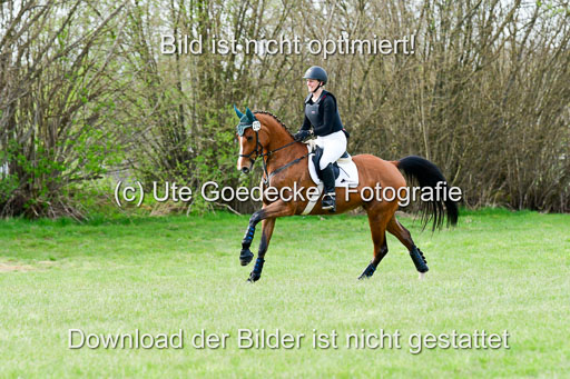 Geländepferde L