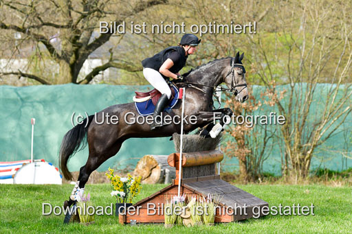 Geländepferde L