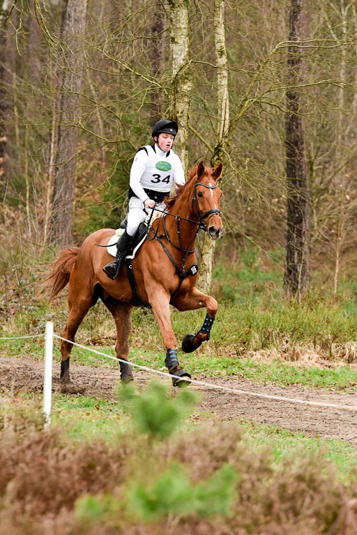 CCI 2**   XC