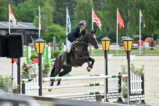 Springen CCI 2 L