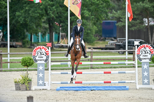 Springen CCI 2 L