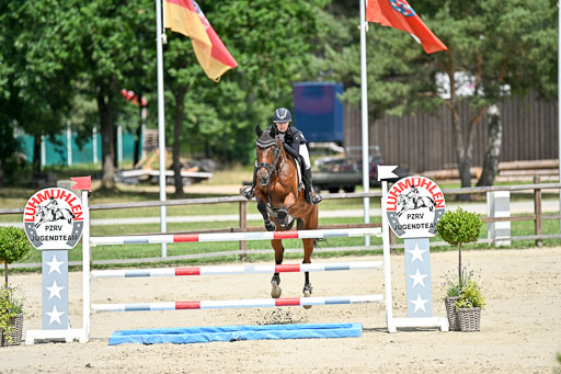 Springen CCI3 L