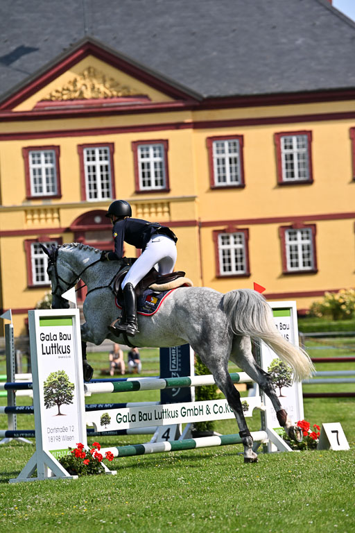 Springen 1