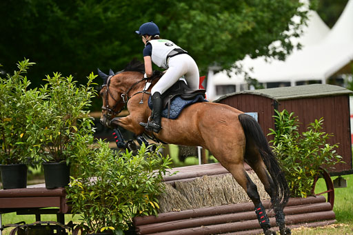 XC VA Abt 2